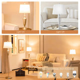 Elegant Nickel Lamp Set with Cream Shades and Metallic Gold Base for Modern Décor