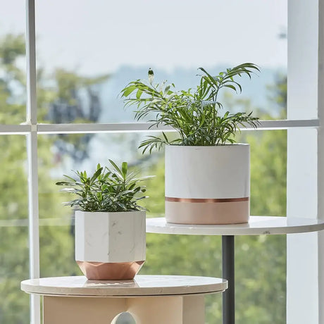 Elegant White Ceramic Planters with Rose Gold Accents showcasing lush green plants