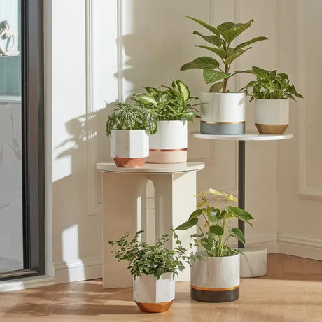 Multi-tiered plant stand with elegant white ceramic planters and rose gold accents