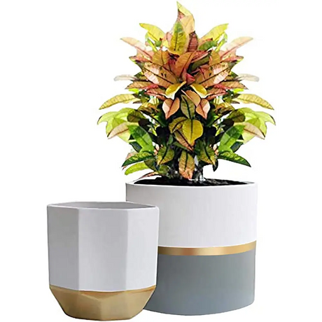 Elegant White Ceramic Planters with Rose Gold Accents featuring modern two-tone design