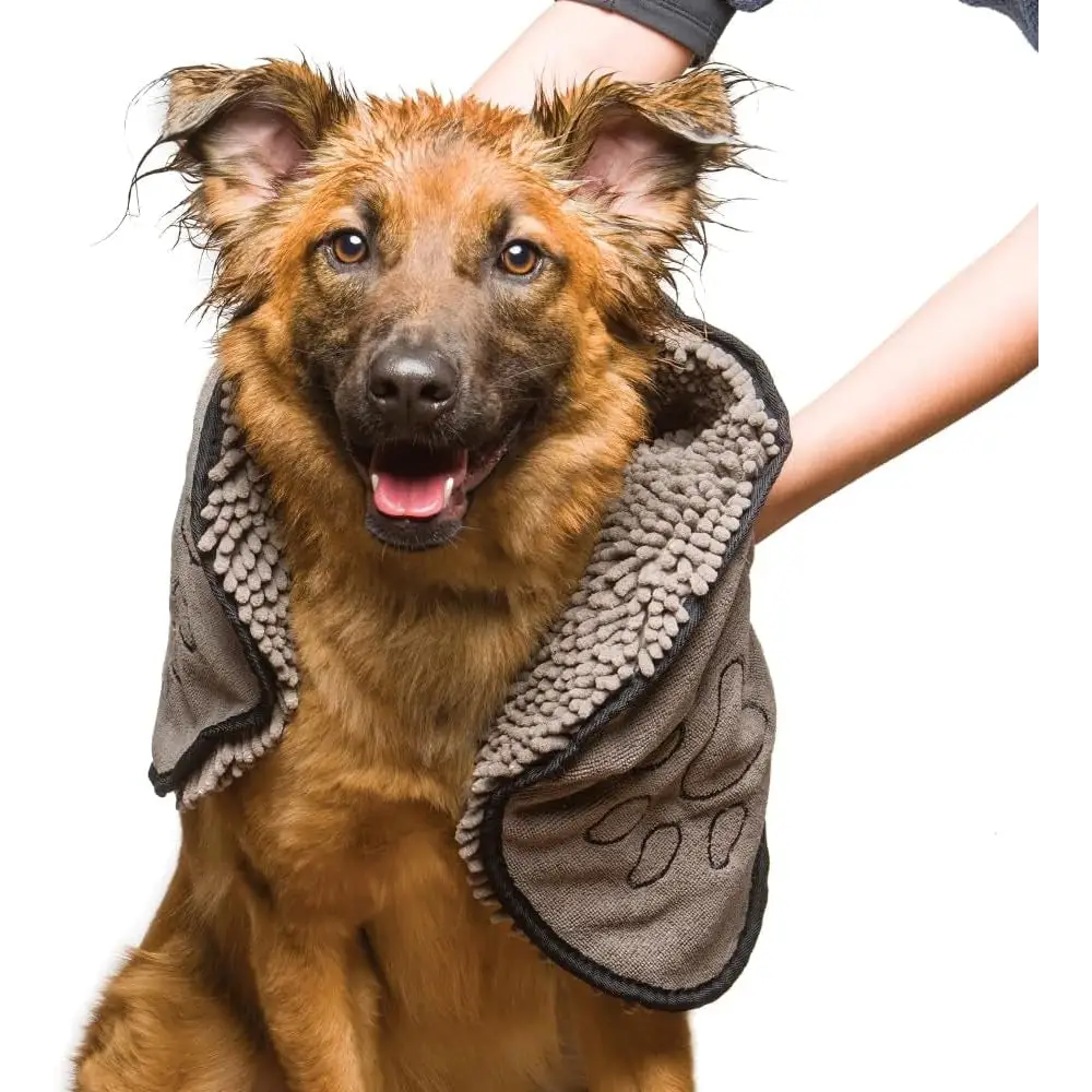 Happy mixed-breed dog in fleece vest beside Fast Drying Microfiber Dog Bath Towel