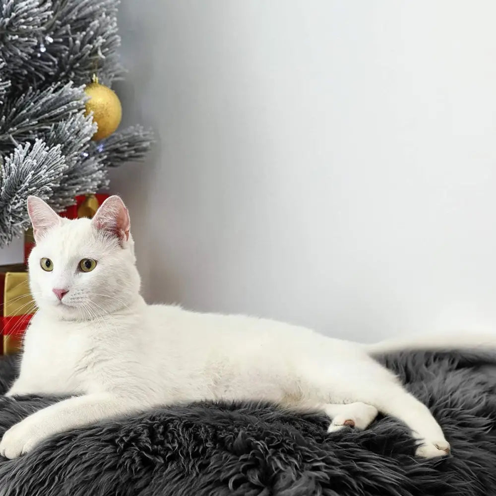 White cat lounging on fluffy long pile faux sheepskin fur area rug for living room