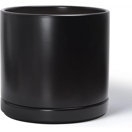 Matte black ceramic planter pot with drainage hole and matching saucer base for Green Fern