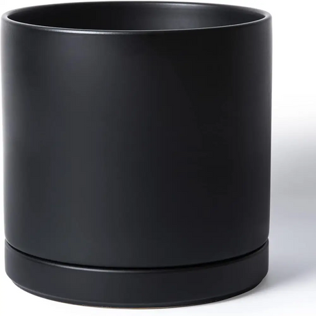 Matte black ceramic planter pot with drainage hole and attached saucer for Green Fern