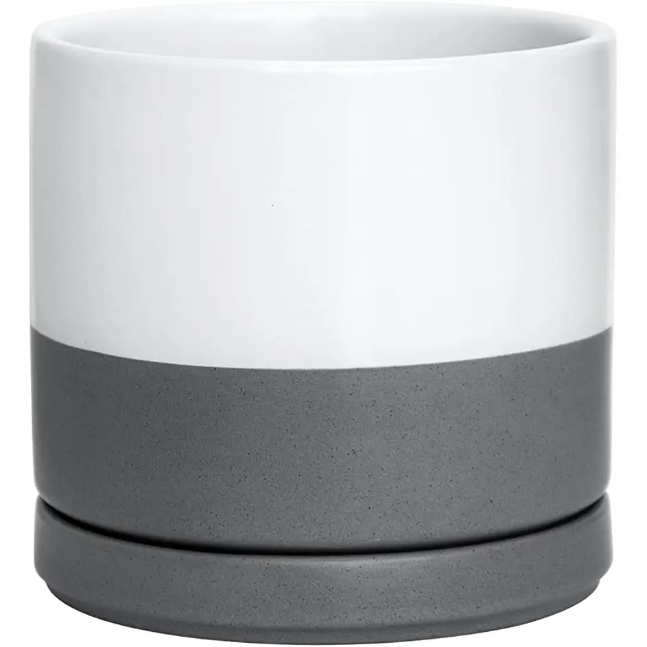 White ceramic planter pot with gray concrete base and drainage hole for Green Fern