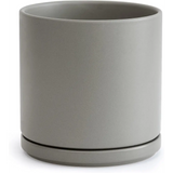 Simple gray ceramic planter pot with drainage hole and attached saucer for green fern