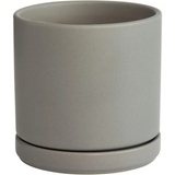 Simple gray ceramic planter pot with drainage hole and attached saucer for Green Fern