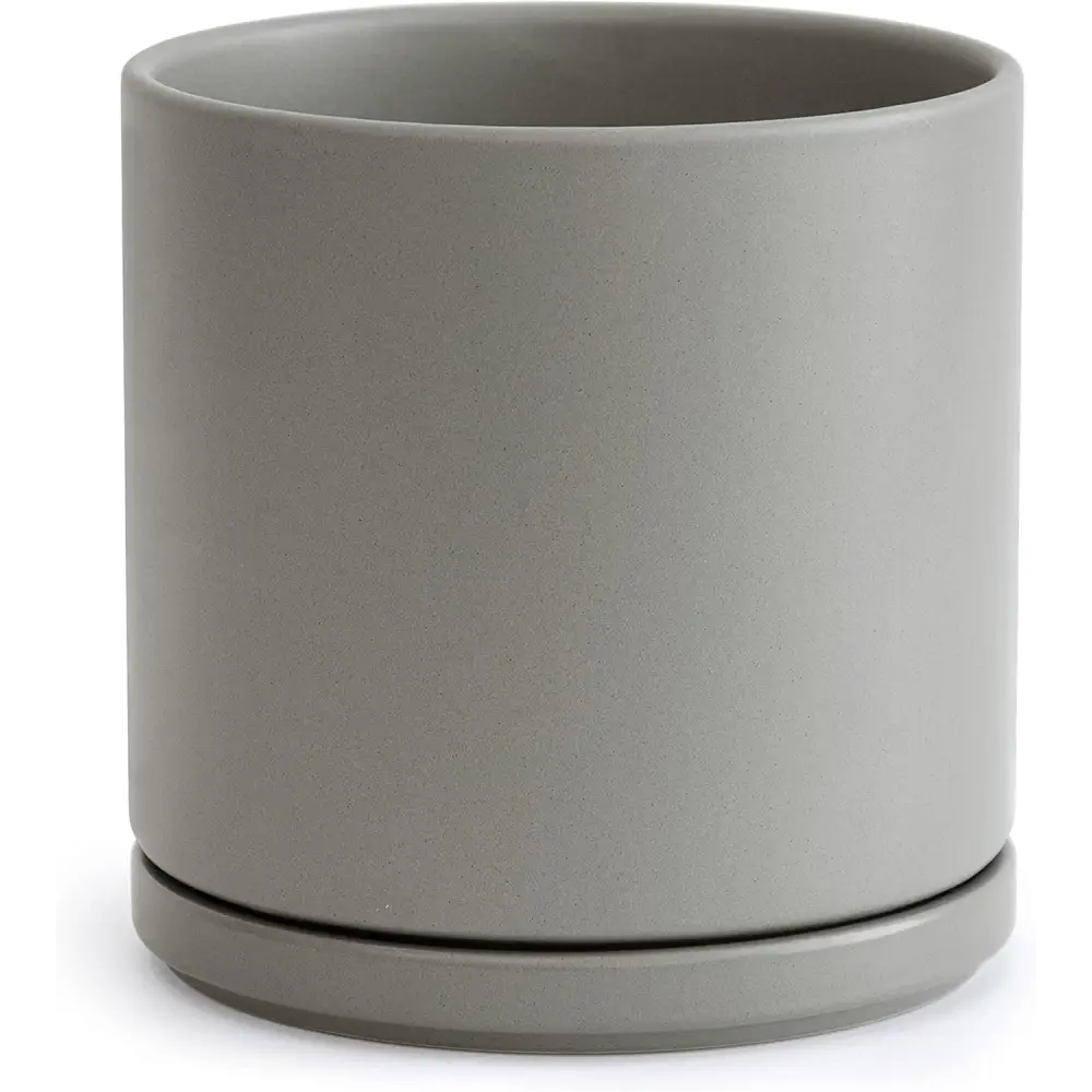 Simple gray ceramic planter pot with drainage hole and attached saucer for Green Fern