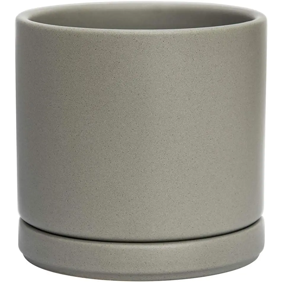 Simple gray ceramic planter pot with drainage hole and attached saucer for Green Fern