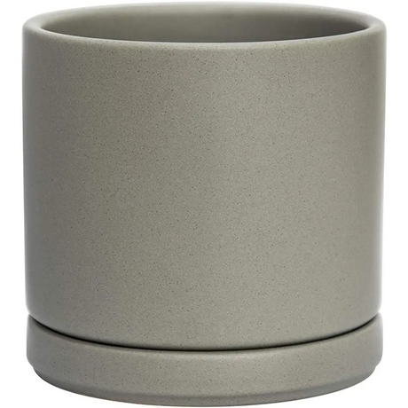 Simple gray ceramic planter pot with drainage hole and attached saucer for Green Fern