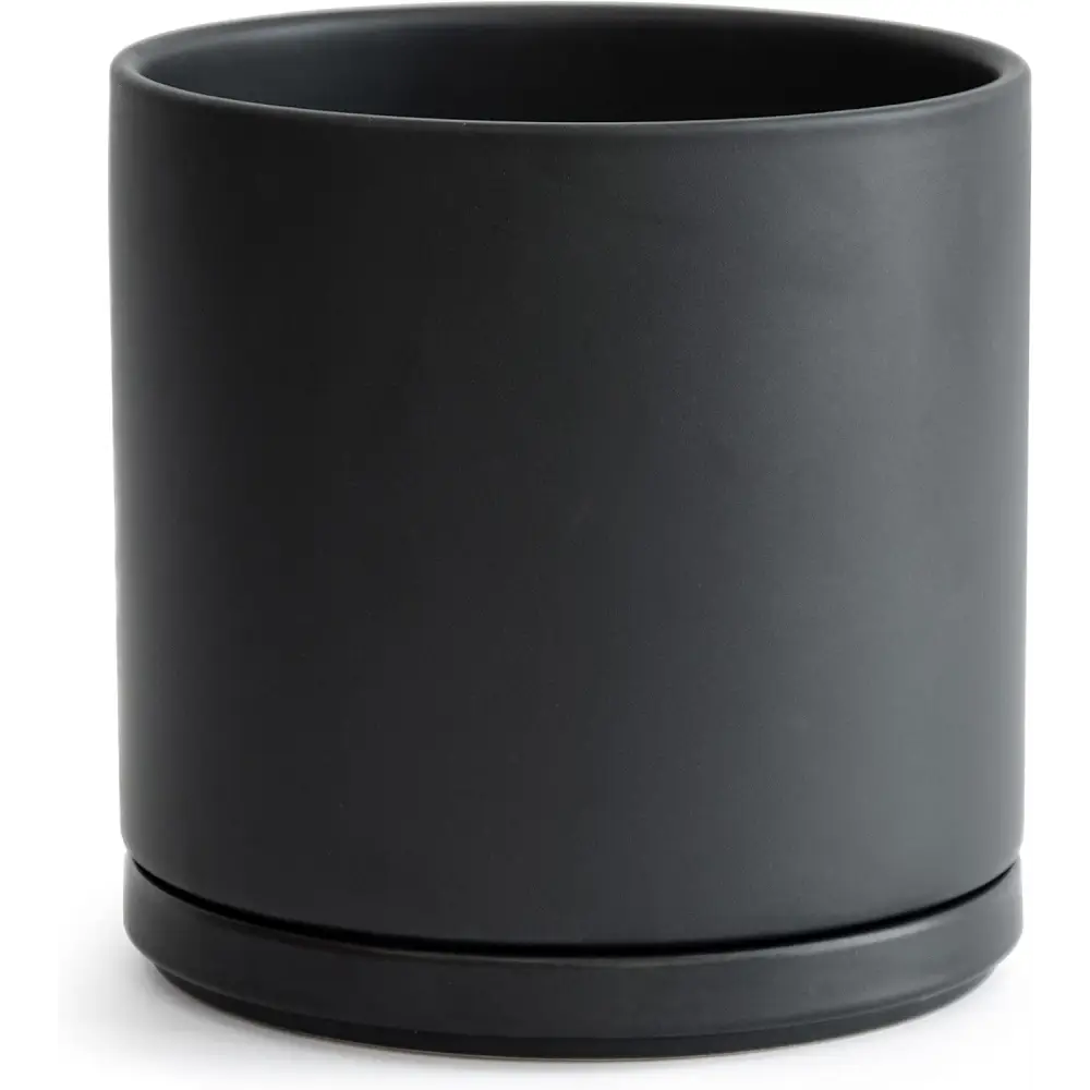 Matte black ceramic planter pot with drainage hole, perfect for a Green Fern