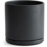 Matte black ceramic planter pot with drainage hole, perfect for a Green Fern