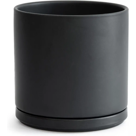 Matte black ceramic planter pot with drainage hole, perfect for a Green Fern