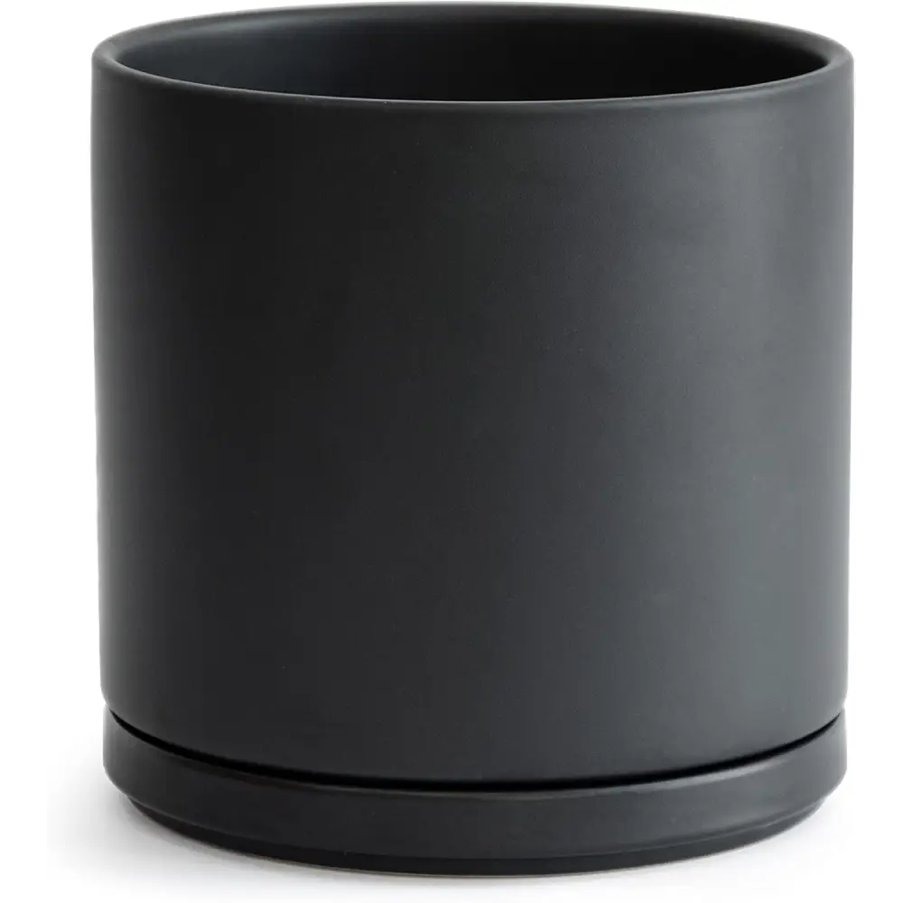 Matte black ceramic planter pot with drainage hole and saucer for Green Fern