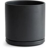 Matte black ceramic planter pot with drainage hole and saucer for Green Fern