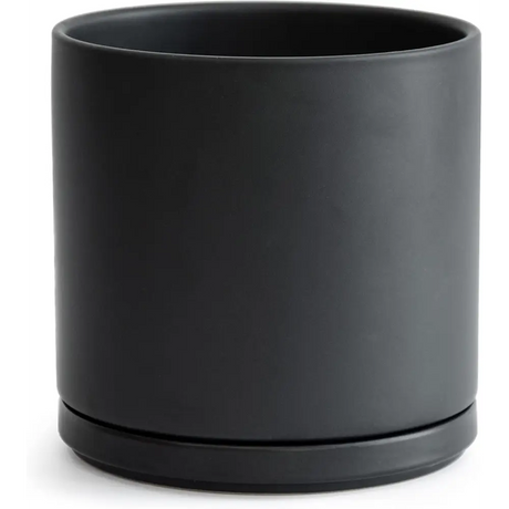 Matte black ceramic planter pot with drainage hole and saucer for Green Fern