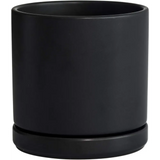 Matte black ceramic planter pot with drainage hole, featuring a Green Fern plant