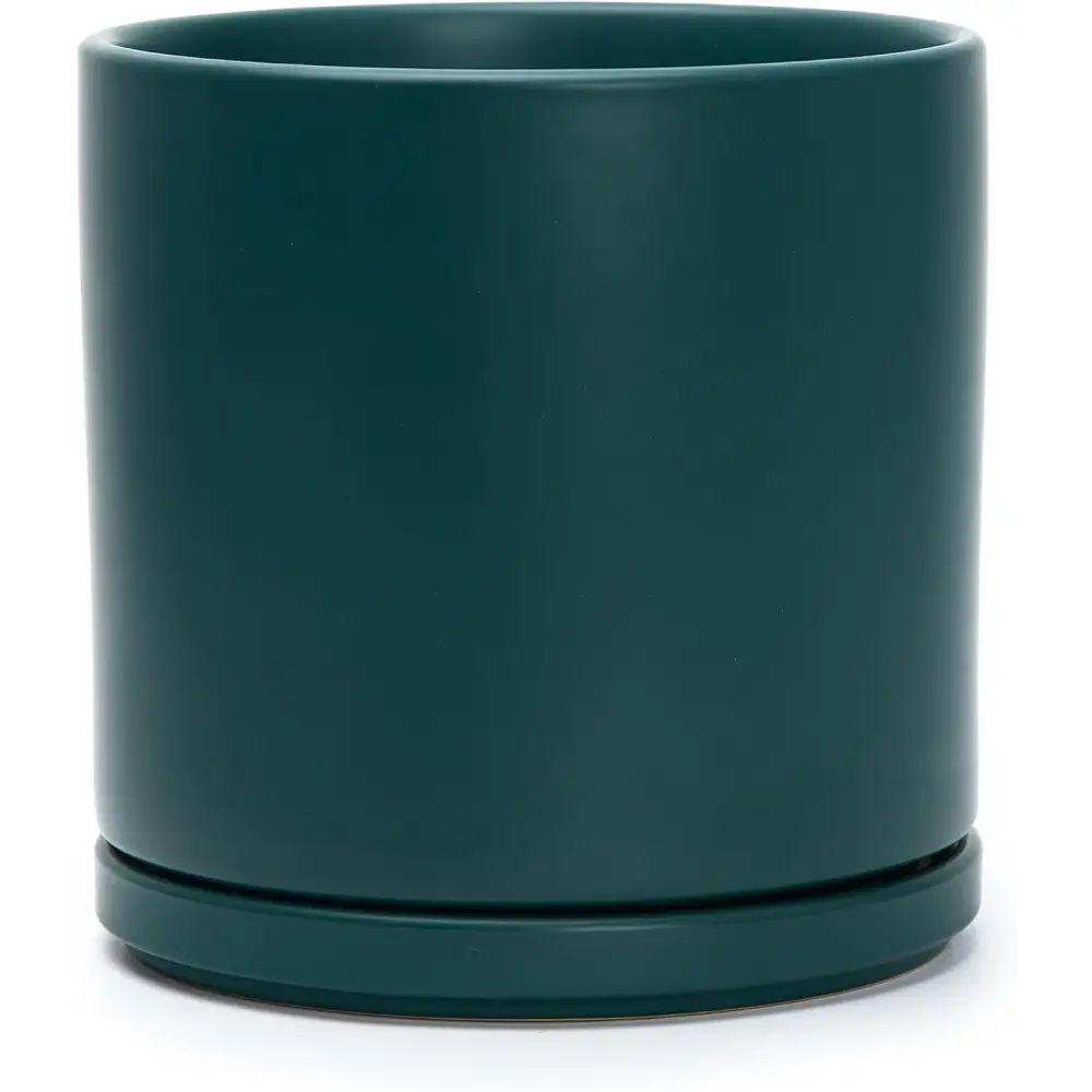 Dark green ceramic planter pot with drainage hole and attached saucer for Green Fern