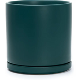 Dark green ceramic planter pot with drainage hole and attached saucer for Green Fern