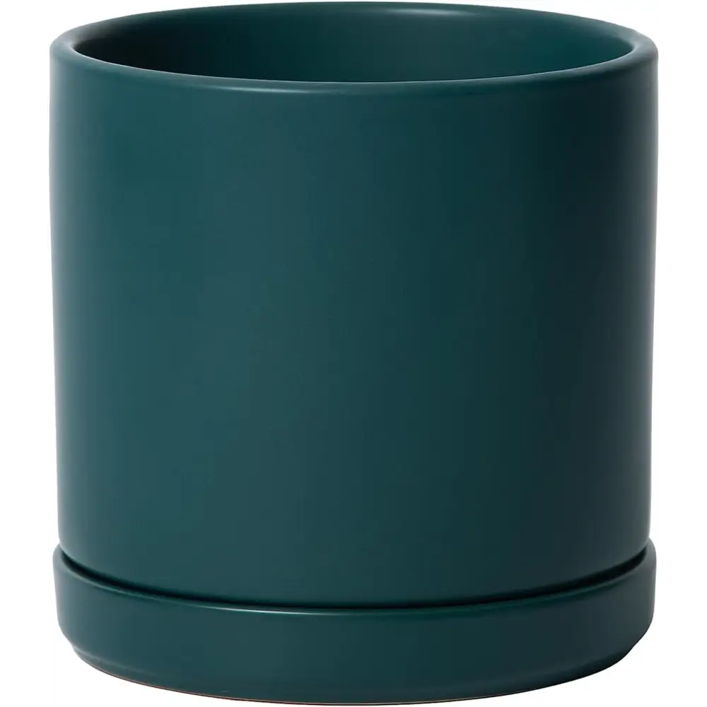 Dark green ceramic planter pot with drainage hole and attached saucer for Green Fern