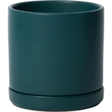 Dark green ceramic planter pot with drainage hole and attached saucer for Green Fern