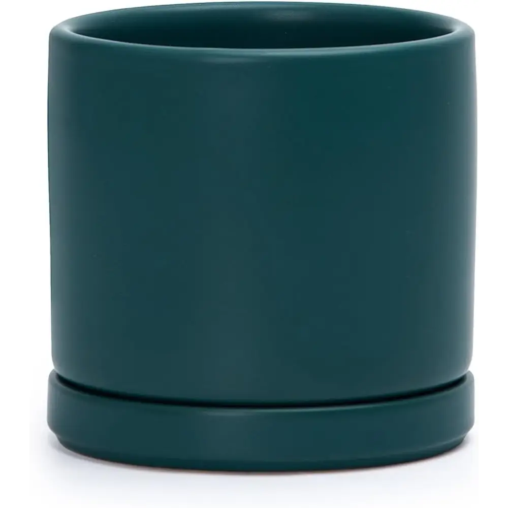 Dark green ceramic planter pot with drainage hole and attached saucer for Green Fern