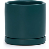 Dark green ceramic planter pot with drainage hole and attached saucer for Green Fern