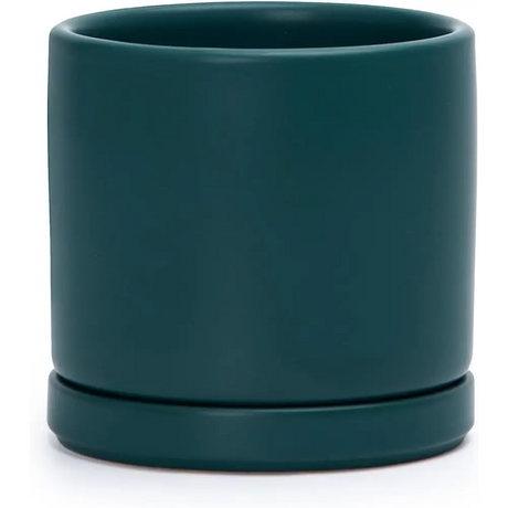 Dark green ceramic planter pot with drainage hole and attached saucer for Green Fern