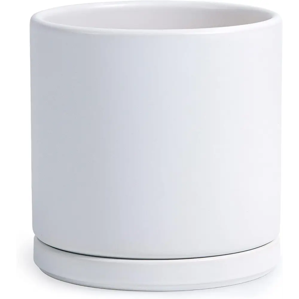 White ceramic planter with drainage hole and attached saucer for indoor plants