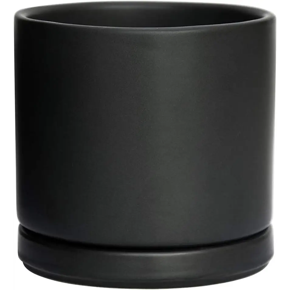 Matte black ceramic planter pot with drainage hole featuring a lush Green Fern