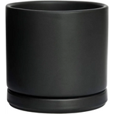 Matte black ceramic planter pot with drainage hole featuring a lush Green Fern