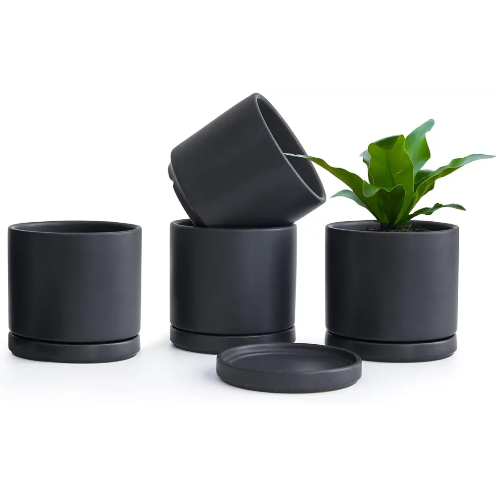 Matte black ceramic succulent pots with drainage saucers for Peperomia plant