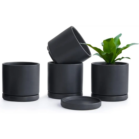 Matte black ceramic succulent pots with drainage saucers for Peperomia plant