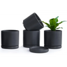 Matte black ceramic succulent pots with drainage saucers for Peperomia plant