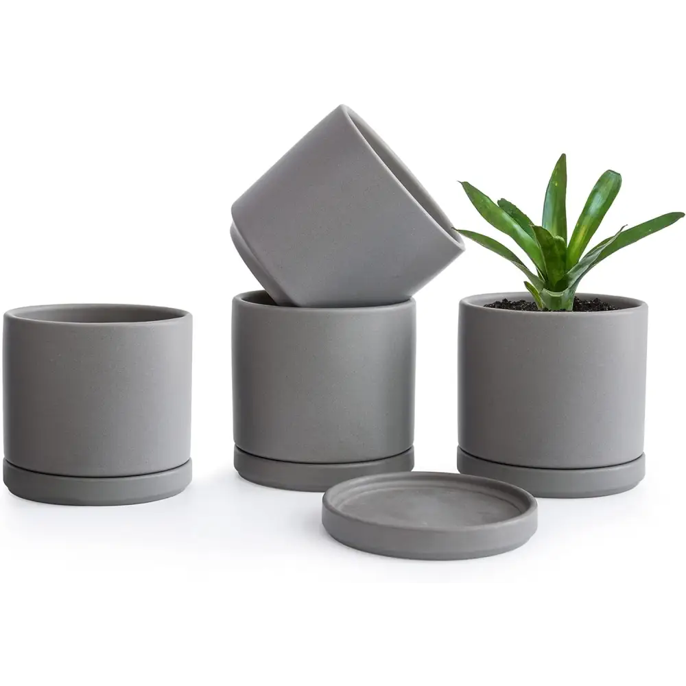 Modern gray ceramic succulent pots with drainage saucers for Peperomia plants