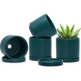 Dark green ceramic succulent pots with a saucer and Peperomia plant for stylish decor