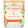 Pet House scented candle in Watermelon Mojito, eco-friendly soy candles for pet odor eliminators