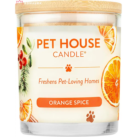 Pet House orange spice scented eco-friendly soy candle for effective pet odor control